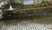 Tocht Stappen Stavelot - SityTrail - Extratrail_stavelot_13km_new - Photo 9