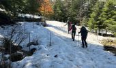 Tour Wandern La Bastide - Le Lachens 2024 - Photo 3