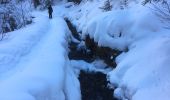Randonnée Raquettes à neige Orsières - Champex Lac - Arpette - Champex Lac - Photo 15
