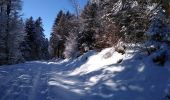 Trail Snowshoes Cornimont - le Brabant raquettes - Photo 1