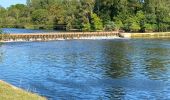 Tocht Wegfiets Faverolles-sur-Cher - Balade autour de Montrichard - Photo 1