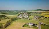 Tocht Te voet Steina - Gersdorf - Schwedenstein - Photo 3