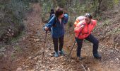 Tocht Stappen Mandelieu-la-Napoule - Esterel forestiere  - Photo 1