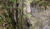 Randonnée Marche Corrençon-en-Vercors - La glacière par le pas des chèvres  - Photo 1