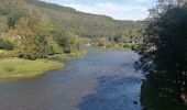 Trail Walking Bouillon - Belle rando très sportive au départ de Rochehaut  - Photo 5