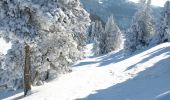 Randonnée Raquettes à neige Saint-Agnan-en-Vercors - Beure - Écondus - Photo 9