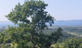 Trail Walking Acquapendente - CR_Francigena_DK_47_Acquapendente_Bolsena_20230530 - Photo 8