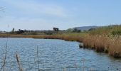 Tour Wandern Fréjus - etangs de villepey et collines - Photo 17