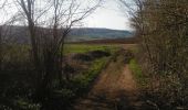 Trail Mountain bike Virton - Saint-Pancré (France) - Balade_VTT_26kms  - Photo 4