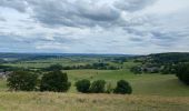Trail Walking Theux - Hodbomont 19 km - Photo 6