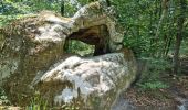 Tocht Stappen Fontainebleau - Fontainebleau sentier Denecourt 9 Est - Photo 20