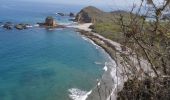 Excursión Senderismo Parroquia Machalilla - Los Frailes - Photo 4