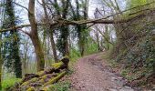 Trail Walking Aywaille - autour de dieupart et sougné par le 2 versants - 2e version - Photo 13