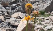 Tour Wandern Saint-Paul-sur-Ubaye - col de la gypiere  - Photo 18