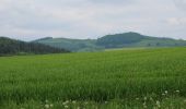 Trail On foot Poppenhausen - Abtsroda - Rhön-Rundweg 7 - Photo 9