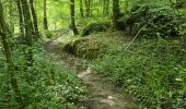 Tour Wandern Oncy-sur-École - Oncy-sur-École - Grotte aux Fées  - Photo 19