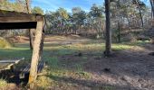 Trail Walking Herentals - Herentals 24,7 km - Photo 8