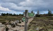 Trail Walking Borée - Le Mont Mezenc - Photo 6