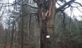 Trail Walking Verviers - mariomont - la gileppe aller via Trail Walking Verviers - mariomont - la gileppe aller via