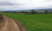 Trail Walking Beauraing - Balade à Javingue-Sevry - Photo 3