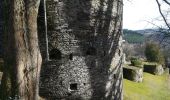 Trail Walking Vielsalm - Le bec du corbeau - Photo 6