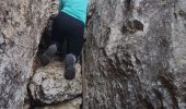 Trail Walking Ollioules - Destel azur  - Photo 7