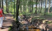 Randonnée Marche Theux - Polleur Fagnes de Malchamps 31,7 km - Photo 2