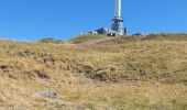 Trail Walking Orcines - Montée au Puy de Dôme par le chemin des Muletiers - Photo 14