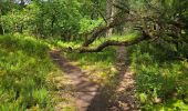 Trail Walking Oncy-sur-École - Oncy-sur-École - Grotte aux Fées  - Photo 17