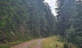 Trail Walking Lutzelhouse - Rocher de Mutzig (variante) - Photo 8