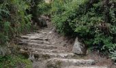 Trail Walking Ingapirca - Cara del Inca - Photo 7