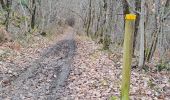 Trail Walking Coursac - boucle du rosier marche bleue - Photo 8