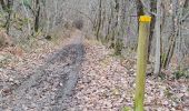 Randonnée Marche Coursac - boucle du rosier marche bleue - Photo 8