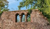 Tour Zu Fuß Eberbach - Rundwanderweg 3: Burg-Eberbach-Weg - Photo 7