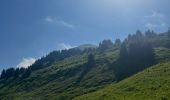 Tocht Stappen Samoëns - La tête de Bostan - Photo 1