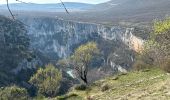 Randonnée Marche La Palud-sur-Verdon - Sentier Blanc Martel - Photo 1