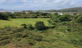 Excursión Senderismo West Cork - Ardgroom -  Eyeries - Photo 13