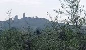 Tour Wandern San Gimignano - Pancolle / Colle val.d'Elsa - Photo 14