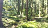 Trail Walking Xonrupt-Longemer - randonnée sur 2 jours des 5 lacs dans les Vosges ( longemer, blanchemer, lispach, Retournemer, de la lande) - Photo 3