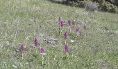 Trail Walking Bayons - BAYONS  . col des Sagnes , Peyrouret , Picouse , bergerie de Gautiere , Piaure , Giaire n - Photo 7