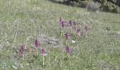 Tour Wandern Bayons - BAYONS  . col des Sagnes , Peyrouret , Picouse , bergerie de Gautiere , Piaure , Giaire n - Photo 7