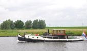 Percorso A piedi Zwolle - WNW IJsseldelta - Het Hoge Laar/Westerveldsebos -blauwe route - Photo 1