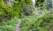 Trail Walking Quévy - Genly 19,3 km - Photo 11