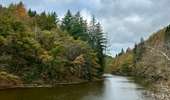 Excursión A pie Houffalize - La promenade autour du Lac de Nisramont - Photo 11