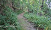 Trail Walking Prévenchères - BOUCLE AUTOUR DU CROUZET (PREVENCHERES) - Photo 2