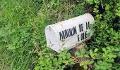 Trail On foot Moret-Loing-et-Orvanne - La basse vallée du Lunain version 30 km - Photo 4