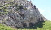 Tocht Noords wandelen Saint-Michel-les-Portes - Tour de Peyre Rouge - Photo 6