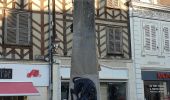 Tocht Stappen Auxerre - Auxerre - Photo 3