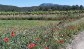 Tour Wandern Correns - Correns_le plateau de Merindol - Photo 3