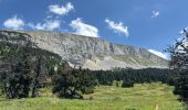 Trail Walking Saint-Agnan-en-Vercors - Veymont pré râteau  - Photo 9
